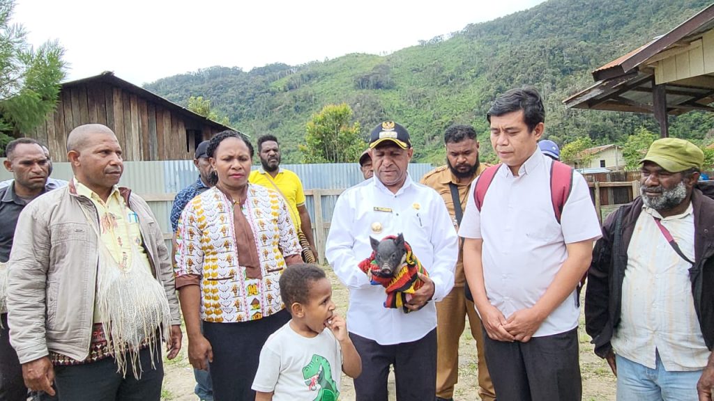Kemensos Resmi Serahkan Bantuan Ternak Babi Untuk Warga Pegubin