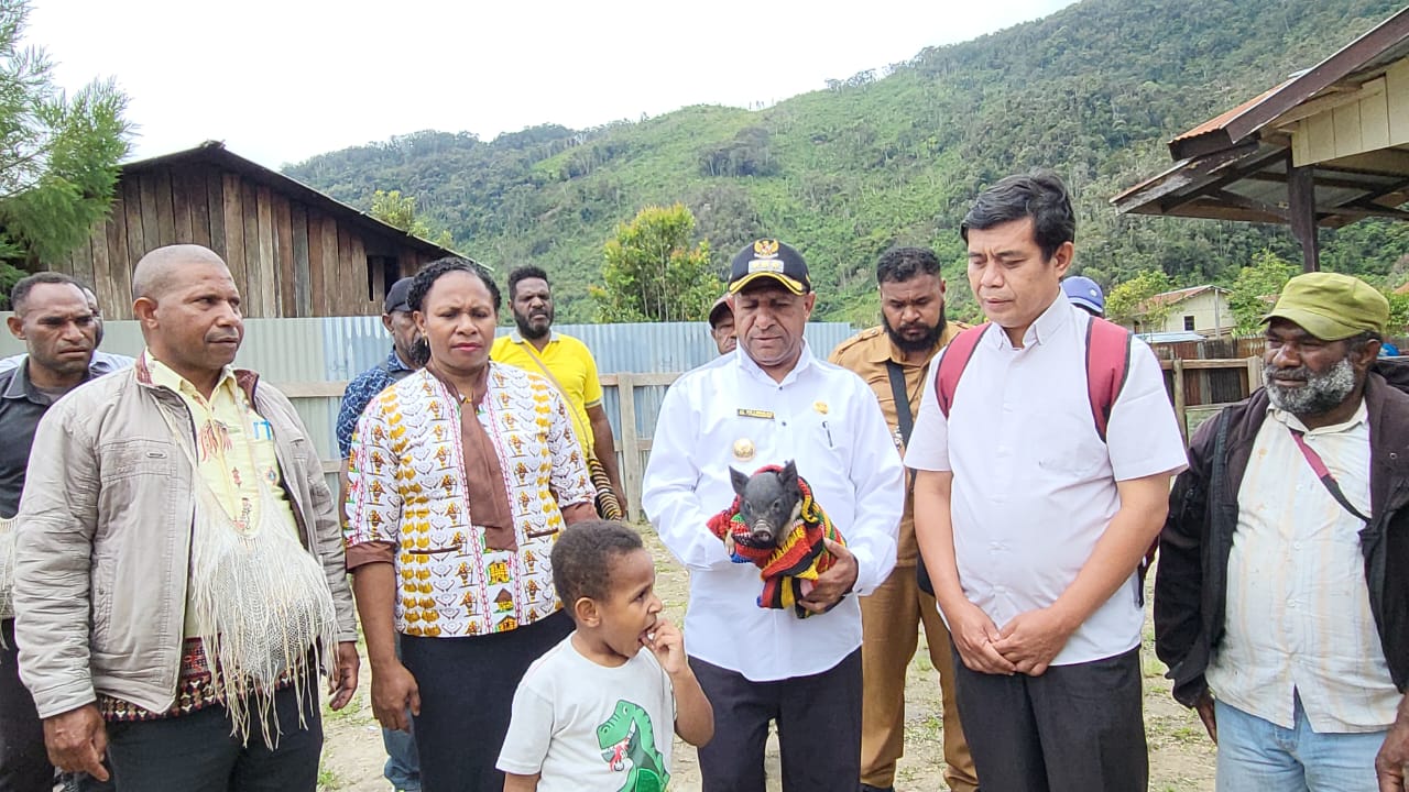 Kemensos Resmi Serahkan Bantuan Ternak Babi Untuk Warga Pegubin